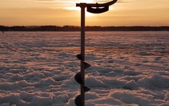 #БЕЗНАСАДОЧНАЯМОРМЫШКА #БЕЗНАСАДОЧНАЯМОРМЫШКА