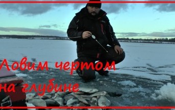 Зимняя ловля подлещика - ласточкино крыло и чертик на Рузе на больших глубинах.
