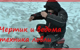 Зимняя рыбалка - рыбацкие секреты! Ловля на чертик - основные проводки при ловле леща и подлещика.