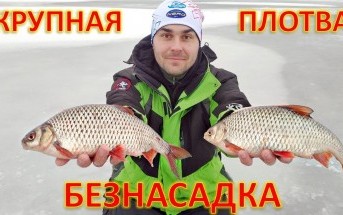КРУПНАЯ ПЛОТВА на БЕЗНАСАДКУ зимняя рыбалка со льда, Гореморе