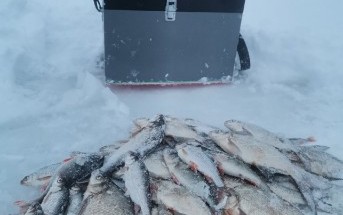 31.01.2022г Васильев Илья