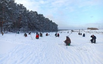 «Мотыль Minus 2022» «Мотыль Minus 2022»