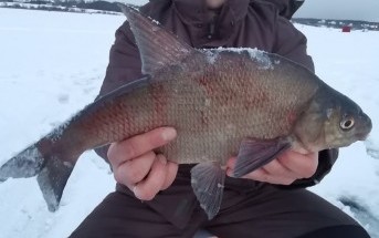 Безмотыльный тур по Рузскому водохранилищу Безмотыльный тур по Рузскому водохранилищу