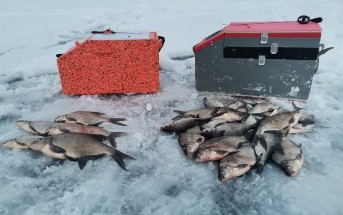 Безмотыльный тур по Рузскому водохранилищу Безмотыльный тур по Рузскому водохранилищу