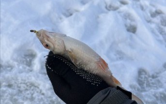 Начало сезона Начало сезона