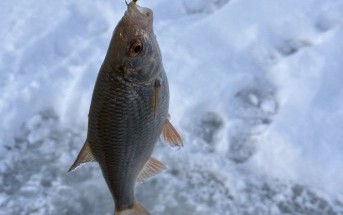 Начало сезона Начало сезона