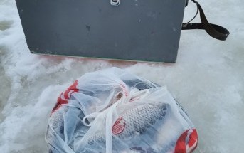 Первый день весны.. Первый день весны..