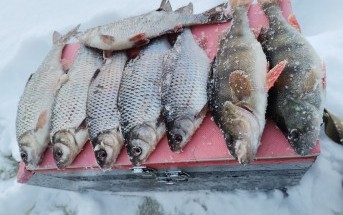 Часть 3 "Зачем ты опять едешь на эту свою Рыбинку?"