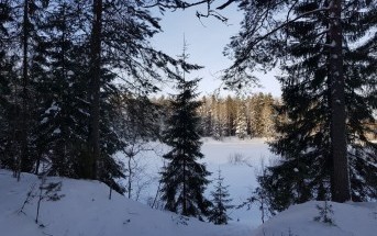 Часть 2 «Зачем ты опять едешь на эту свою Рыбинку!?»